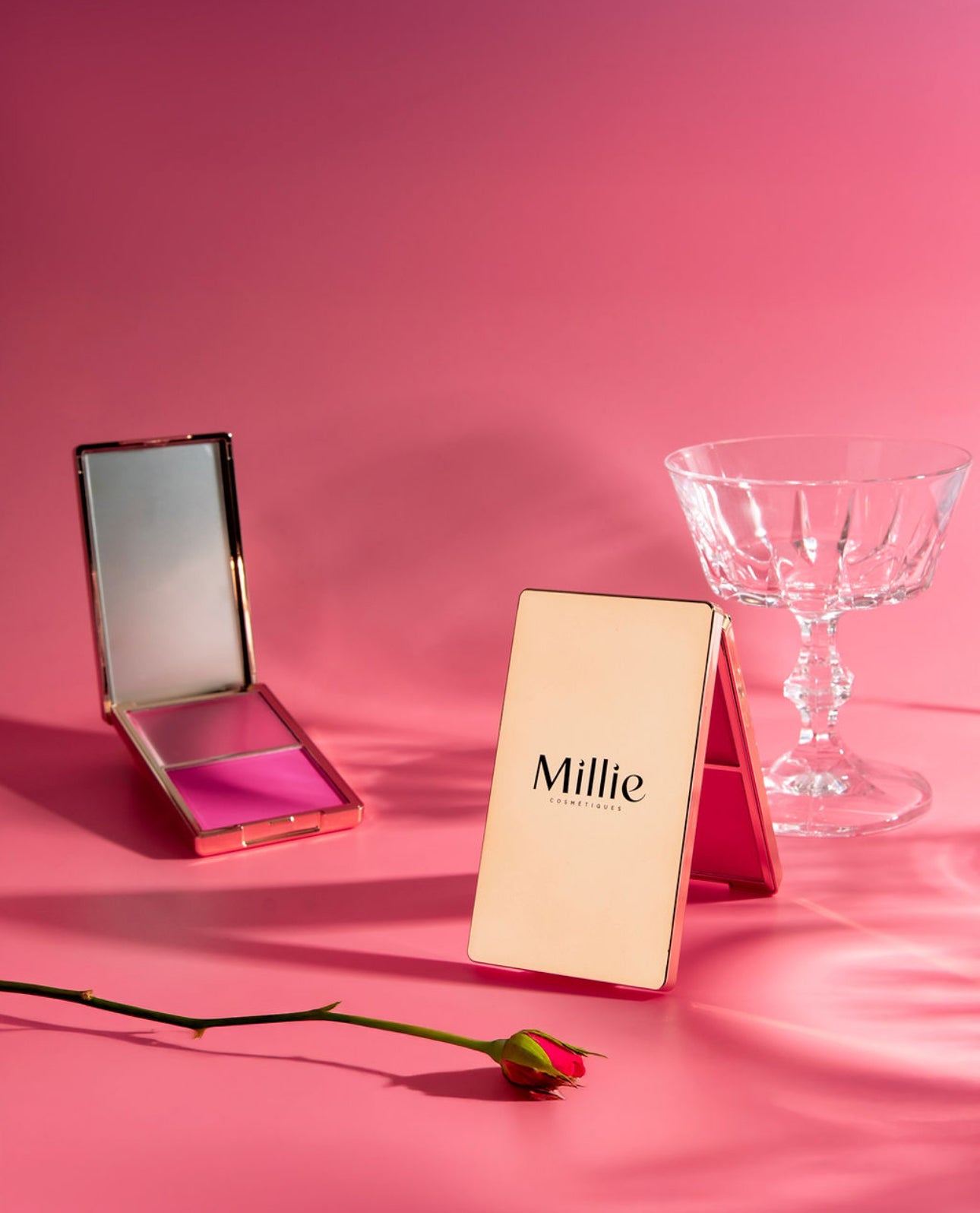 Iconic Blush & Shine Duo (Fard à joue + Gloss)